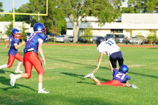 Enlarge photo 399