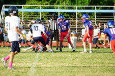 Enlarge photo 412