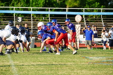 Enlarge photo 421