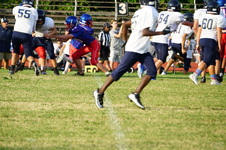 Enlarge photo 429