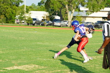 Enlarge photo 441