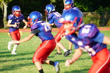 Enlarge photo 446