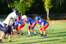 Enlarge photo 455