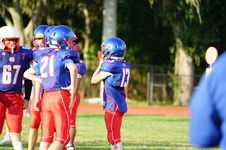 Enlarge photo 458