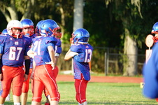 Enlarge photo 459