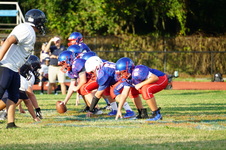 Enlarge photo 477