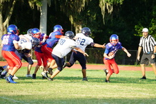 Enlarge photo 478