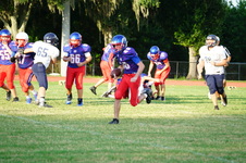 Enlarge photo 482