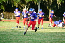 Enlarge photo 484