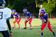 Enlarge photo 509