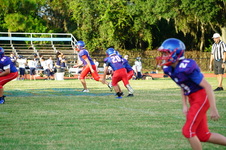 Enlarge photo 522