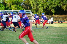 Enlarge photo 524