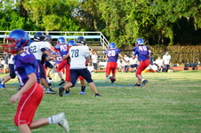 Enlarge photo 525