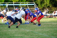 Enlarge photo 530