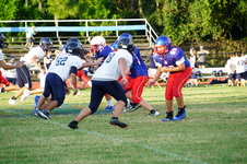 Enlarge photo 532