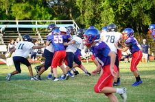 Enlarge photo 534