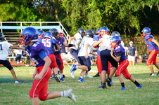 Enlarge photo 535