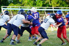 Enlarge photo 565