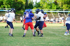 Enlarge photo 584