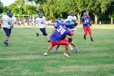 Enlarge photo 597