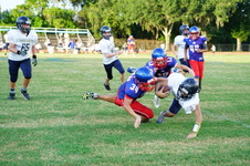 Enlarge photo 599