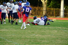 Enlarge photo 653