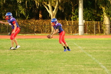 Enlarge photo 687