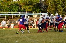 Enlarge photo 7
