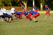 Enlarge photo 16