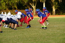 Enlarge photo 21