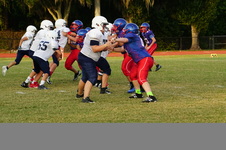 Enlarge photo 205