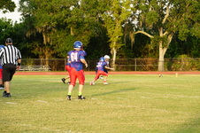 Enlarge photo 39