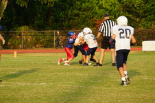 Enlarge photo 44