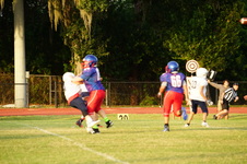 Enlarge photo 51