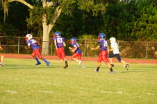 Enlarge photo 54