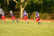Enlarge photo 56