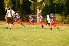 Enlarge photo 55