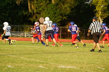 Enlarge photo 57