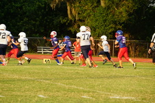 Enlarge photo 58