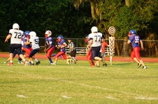 Enlarge photo 59