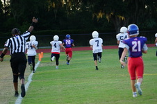 Enlarge photo 73