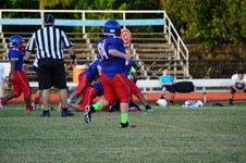 Enlarge photo 81