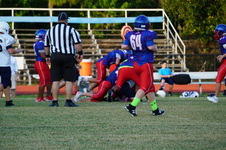 Enlarge photo 80