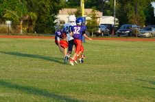 Enlarge photo 84