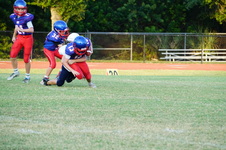 Enlarge photo 92