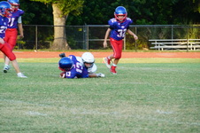 Enlarge photo 96