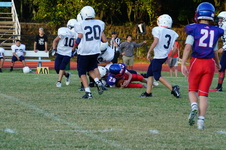 Enlarge photo 105