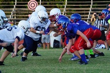 Enlarge photo 111