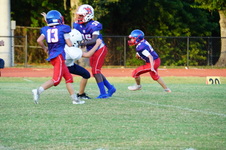 Enlarge photo 116