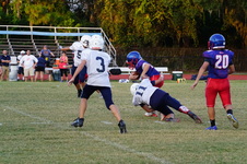 Enlarge photo 135